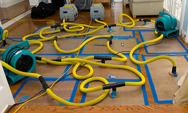 Professional Burst Pipe Water Damage technician working in Sulphur, OK